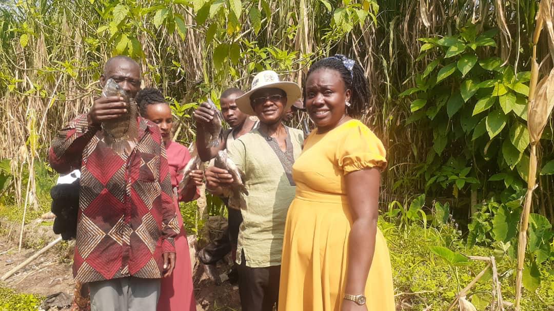 Food security and nutrition livelihood project